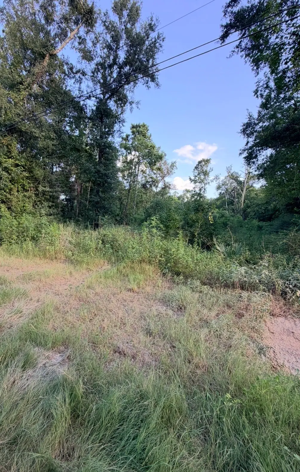 0 Lyric, Conroe, TX 77302 - #1