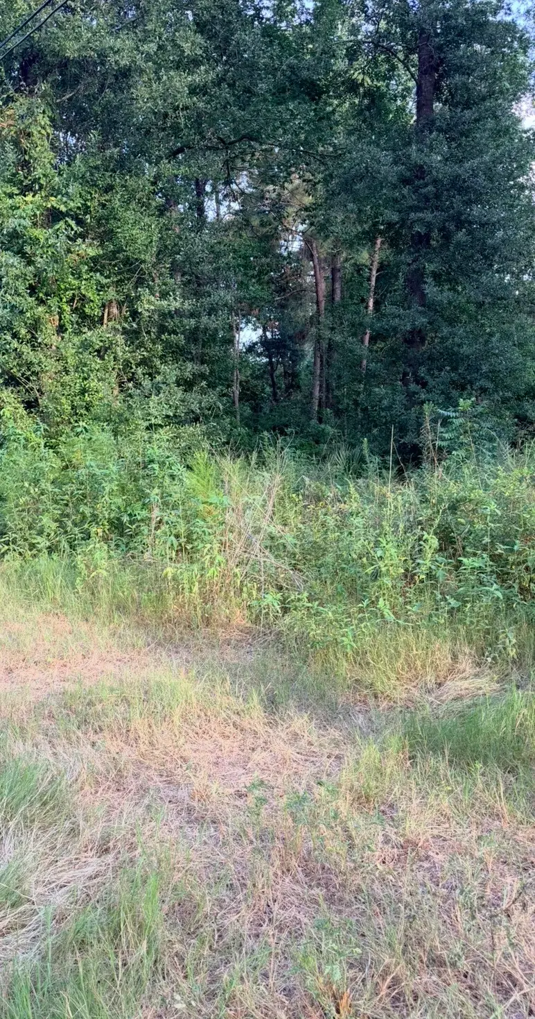 0 Lyric, Conroe, TX 77302 - #2
