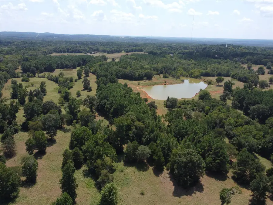 TBD Cr 3501 Road, Jacksonville, TX 75766 - Image #3