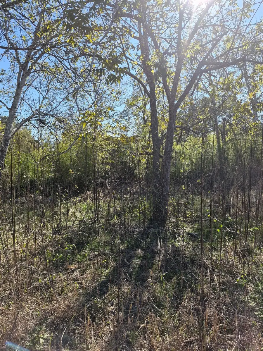 256 Boulden Street, Garwood, TX 77442 - #3