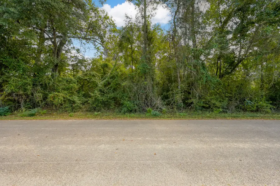 TBD County Road 3892, Cleveland, TX 77328 - Image #2