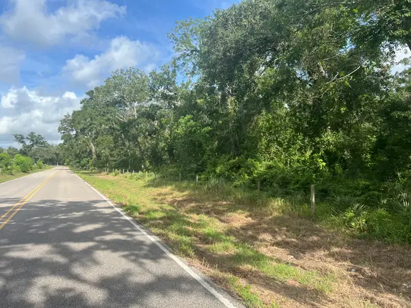 0 County Road 353, Brazoria, TX 77422