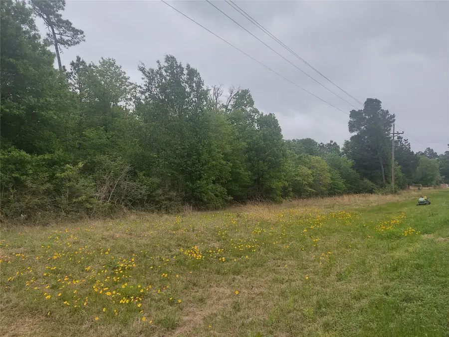 0 Fm 247, Huntsville, TX 77320 - Image #3