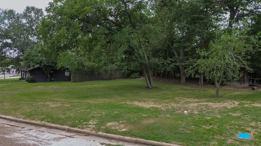 TBD N Oakhurst, Livingston, TX 77351 - #2