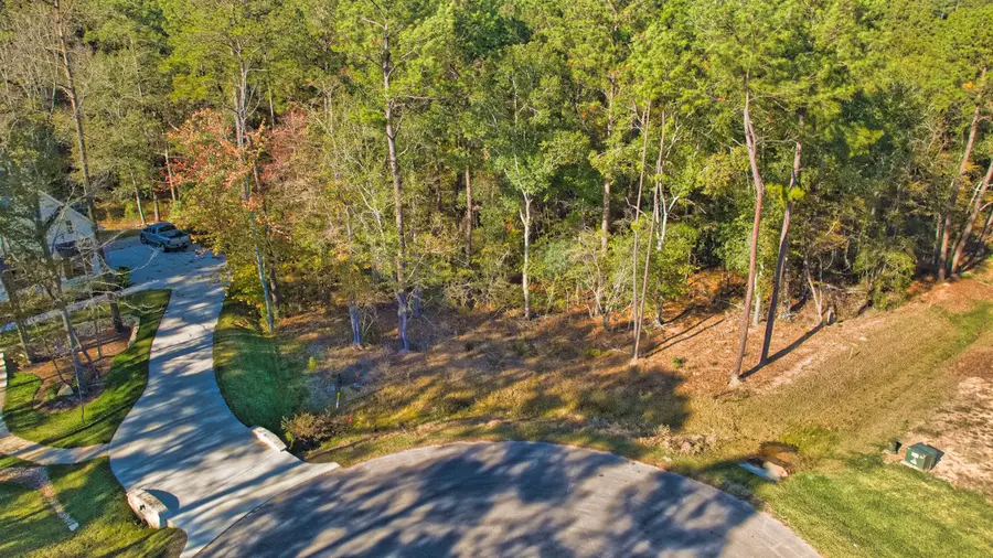 8602 Cedar Meadow Lane, Plantersville, TX 77363 - #3