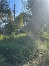 4610 Engleford Street, Houston, TX 77026 - Image #3