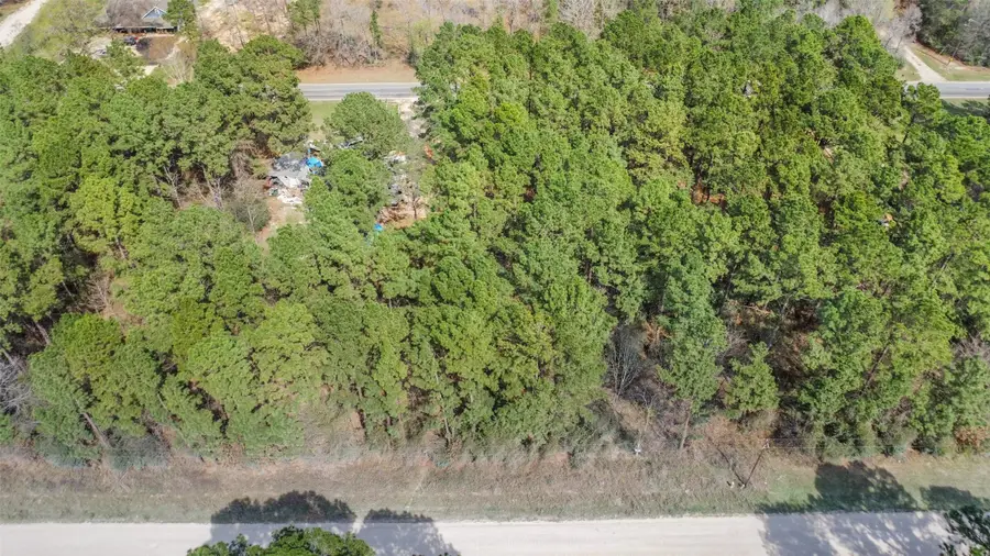 Lot 719 Sand Dollar Drive, Livingston, TX 77351 - #2