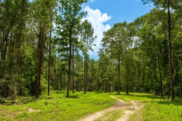 0 County Road 547, Kirbyville, TX 75956