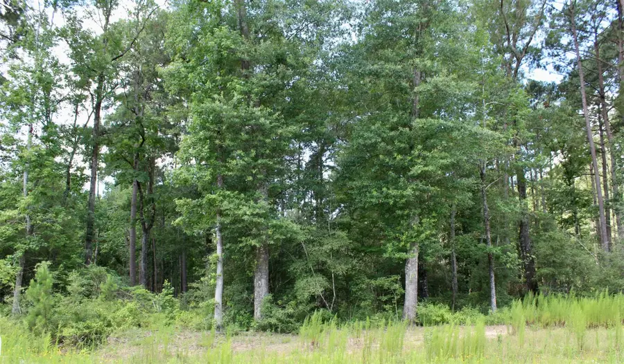 14-36-3 Larkspur Lane, Huntsville, TX 77358 - Image #2