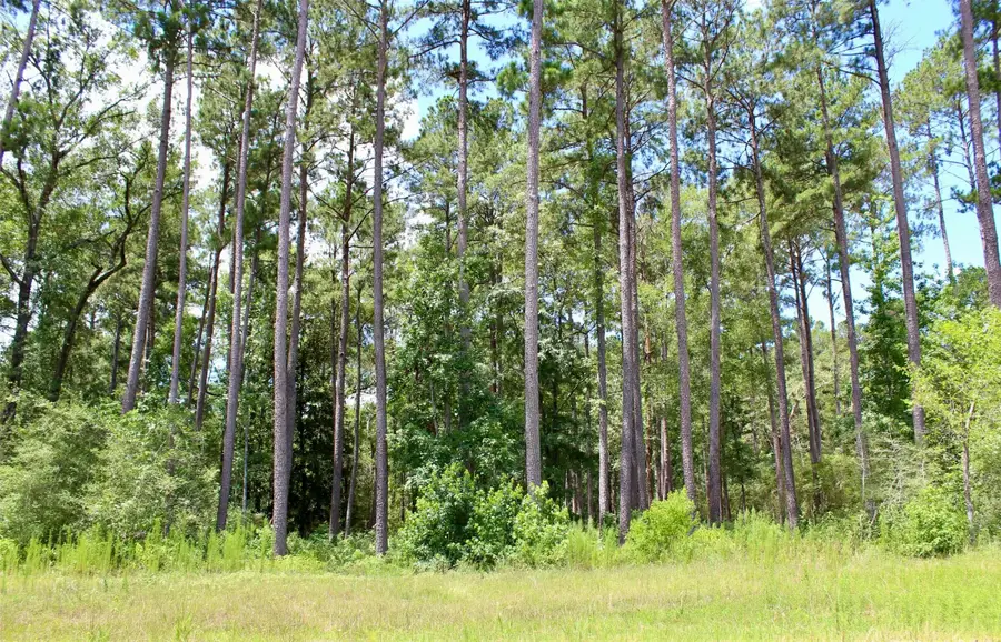 14-36-3 Larkspur Lane, Huntsville, TX 77358 - Image #3