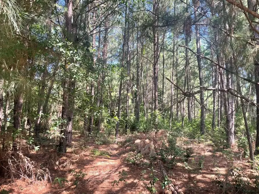 tbd N 287 Highway, Grapeland, TX 75844 - Image #3