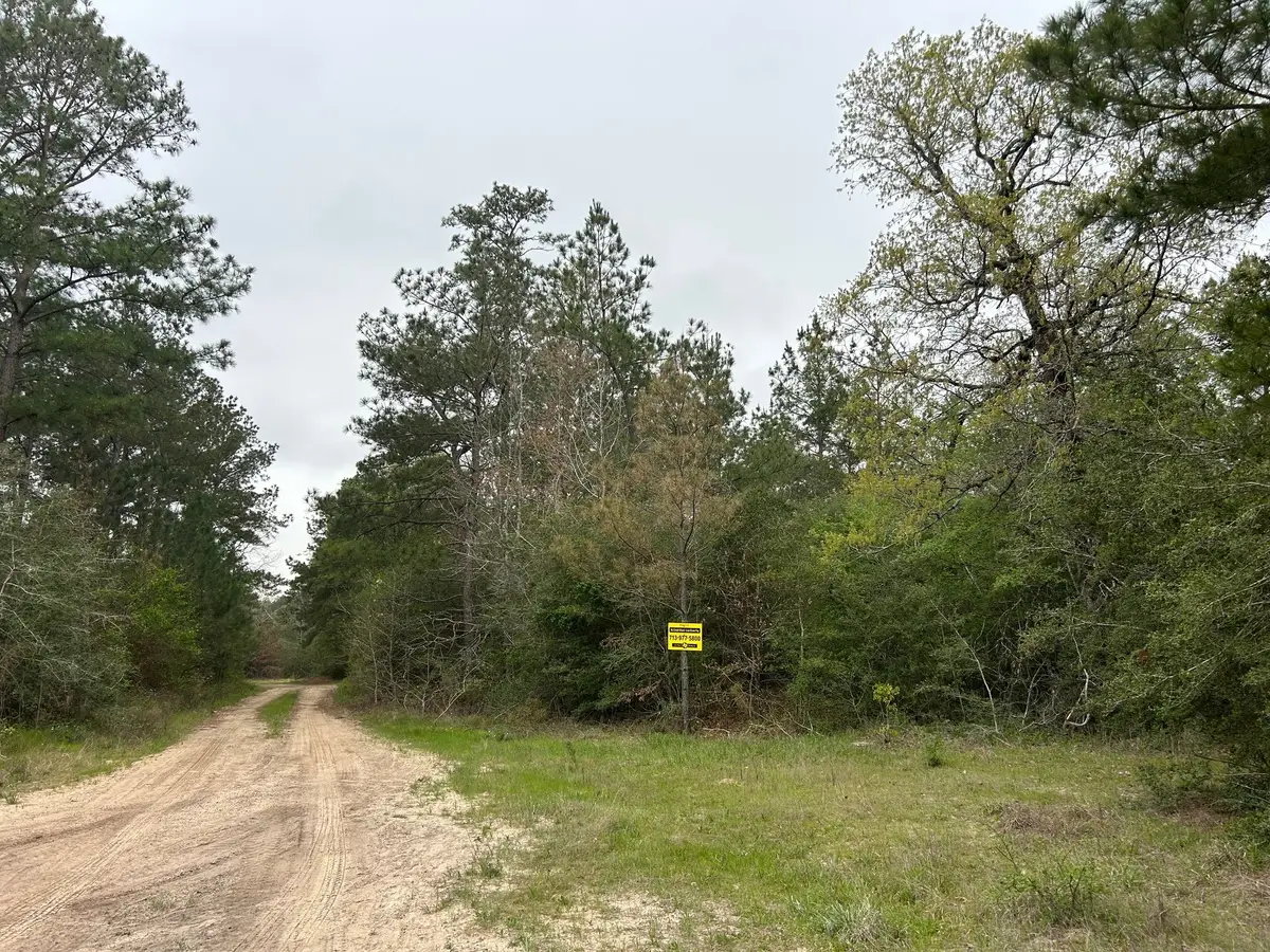 0 Unassigned Name, Willis, TX 77378 - Image #1