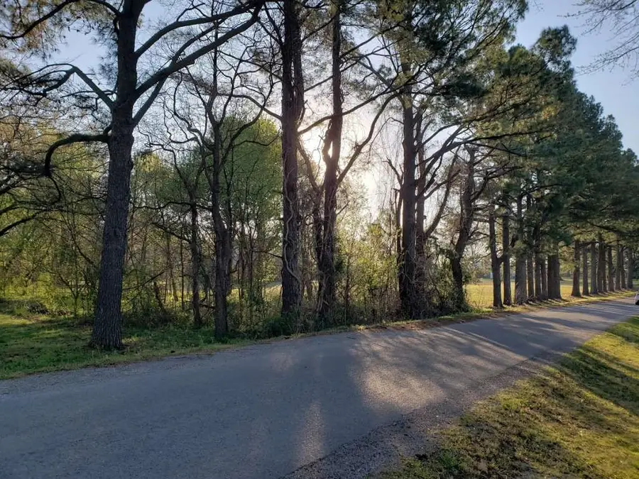 0 Longmire Road, Three Way, TN 38343 - #2