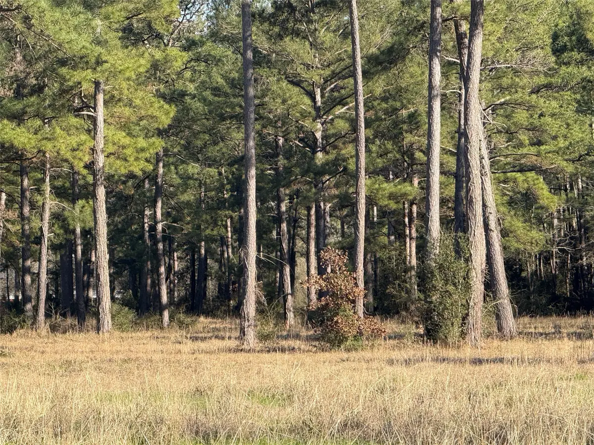 # Rad, Livingston, TX 77351 - Image #1