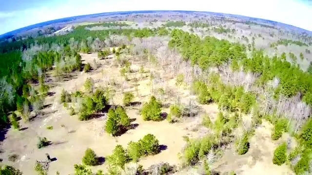 00 Cr 403, San Augustine, TX 75972 - Image #2