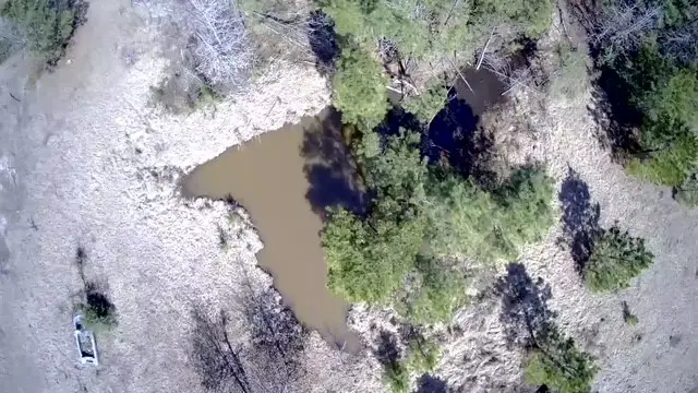 00 Cr 403, San Augustine, TX 75972 - Image #3