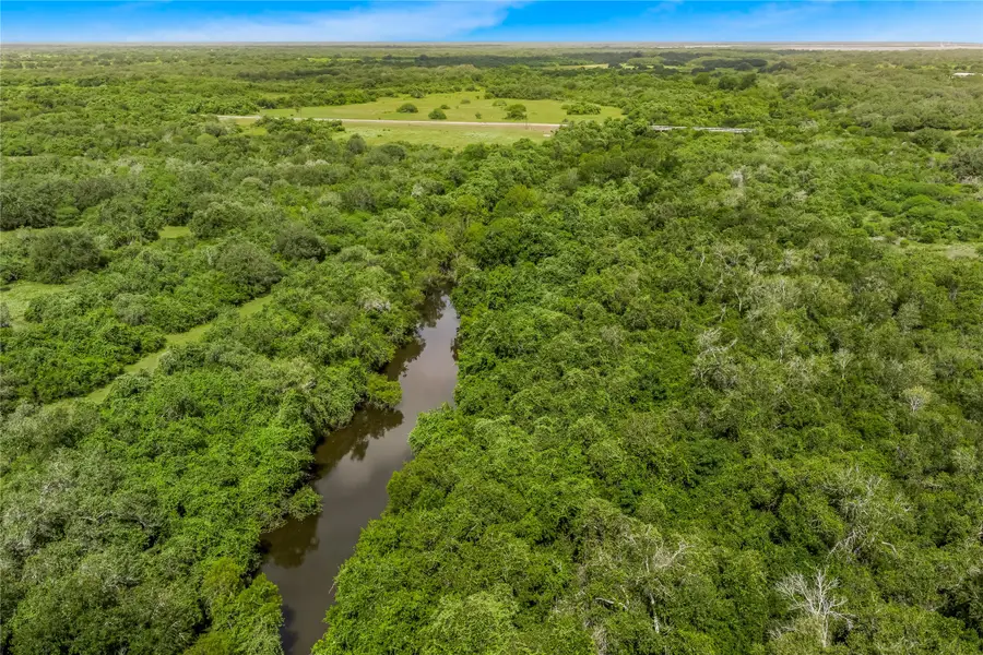 000 Mcguill Road, Goliad, TX 77963 - #3