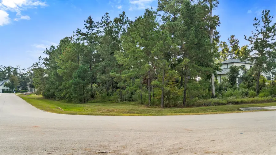 27919 Inspire Crest Lane, Spring, TX 77386 - #3