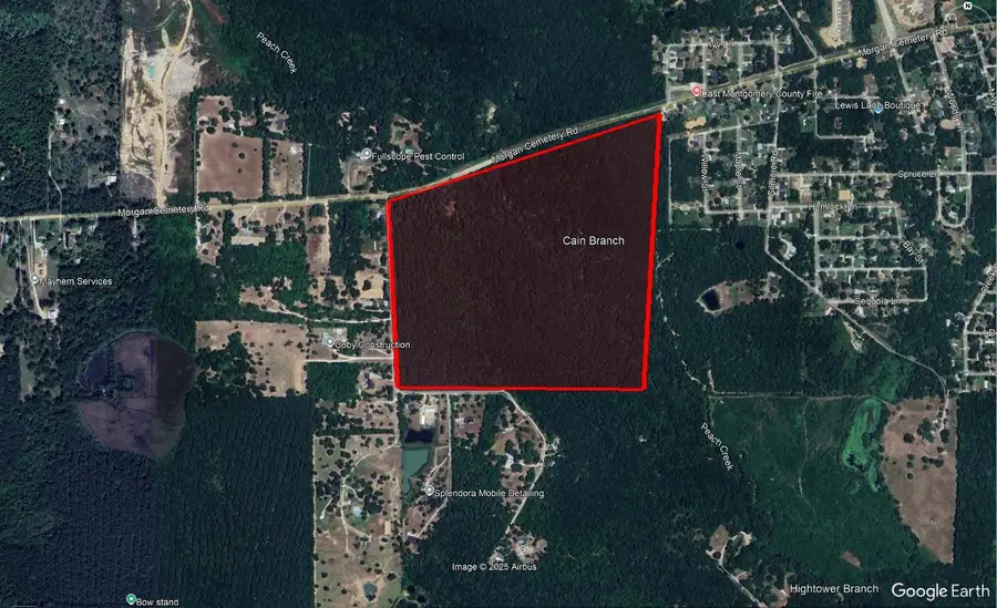 108 acres Morgan Cemetery Road, Cleveland, TX 77328 - Image #3