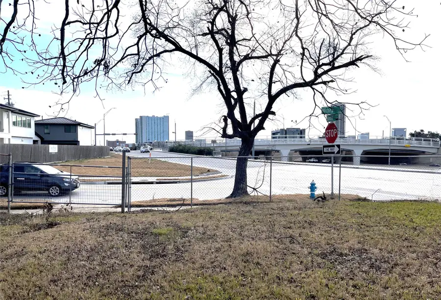 2209 Wichita Street, Houston, TX 77004 - #3