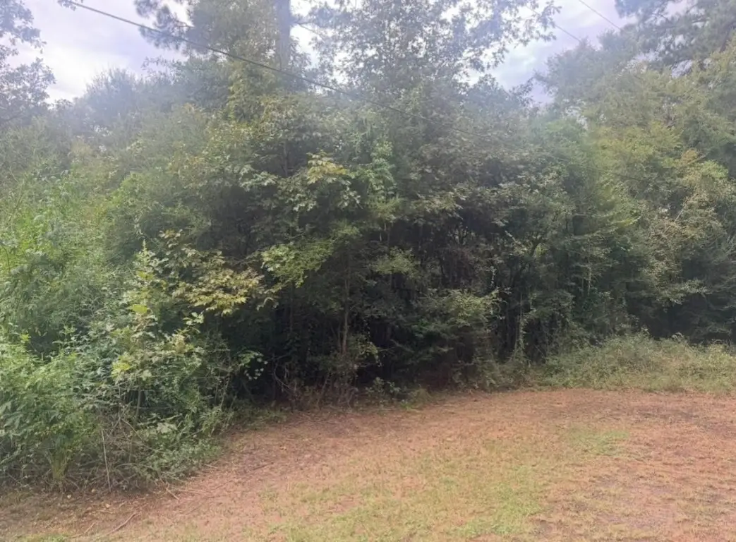 TBD Jill Lane, Livingston, TX 77351 - #1