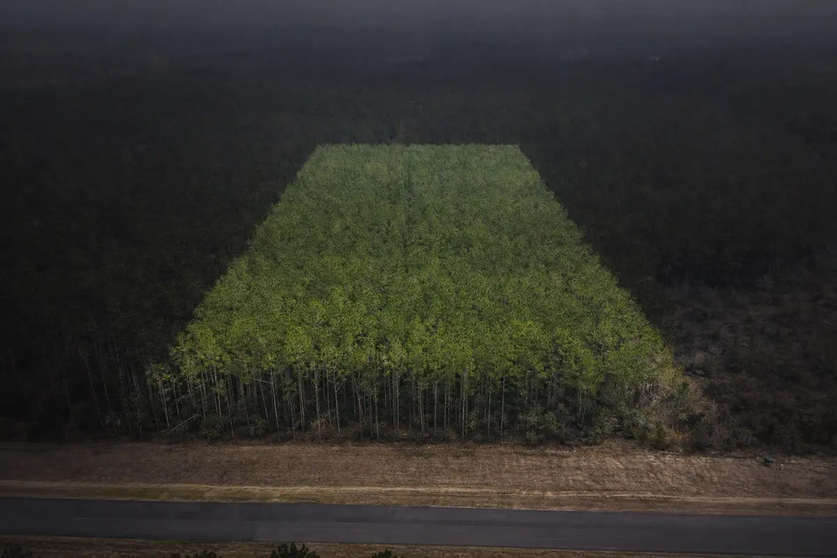 16098 Forest Mill Road, Willis, TX 77378 - #1