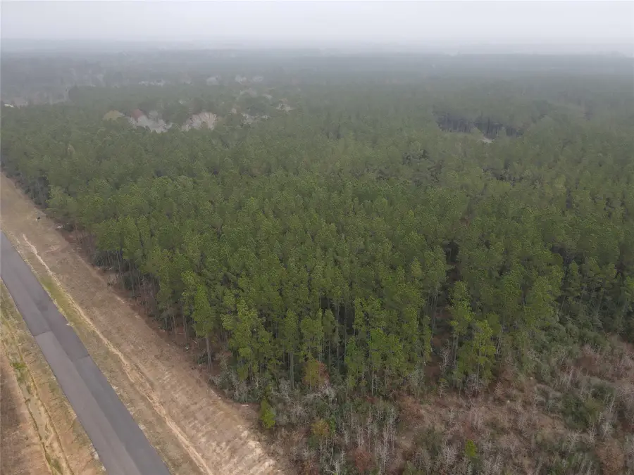 16098 Forest Mill Road, Willis, TX 77378 - #3