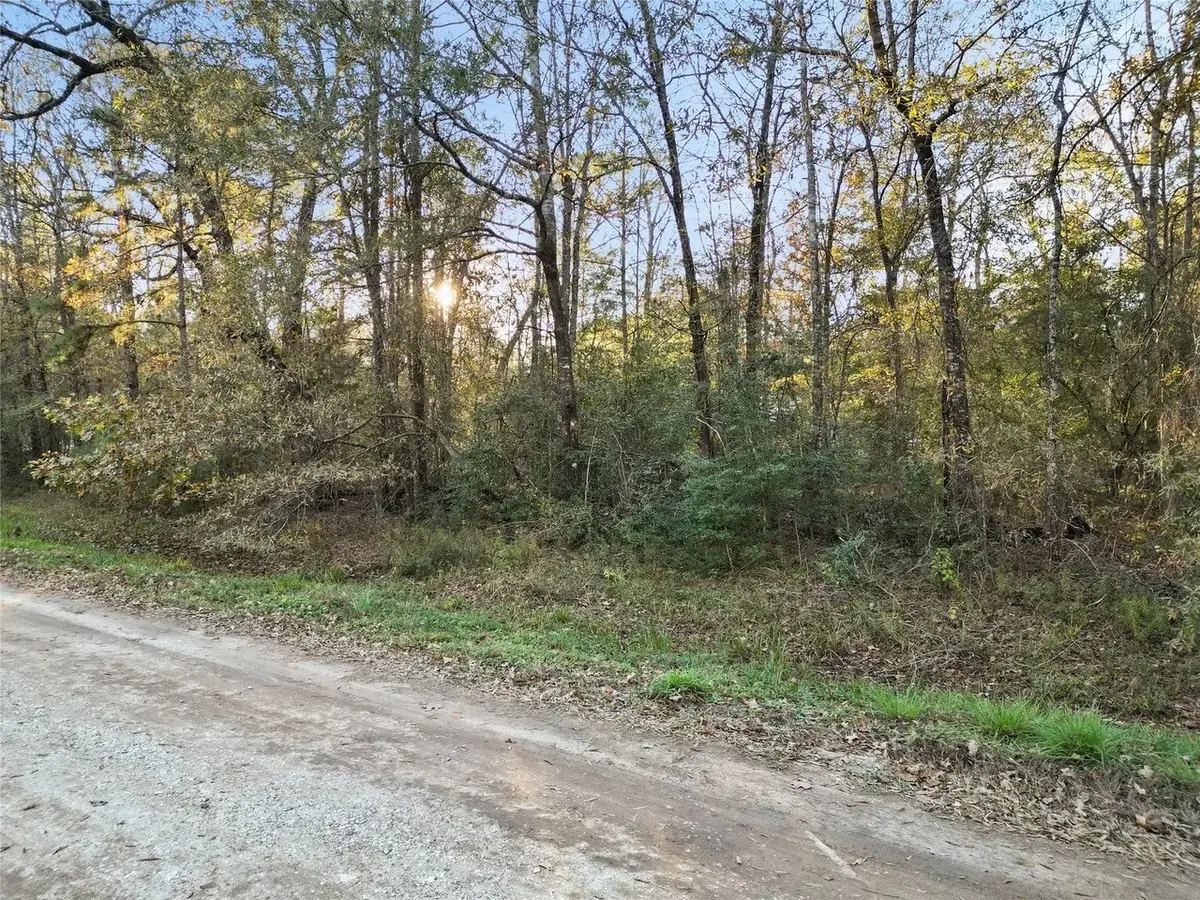 0 Somerset, Livingston, TX 77351 - Image #1