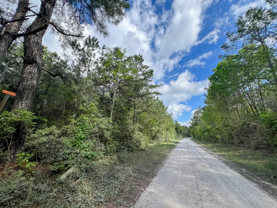1 Cr 4300, Woodville, TX 75979 - #3
