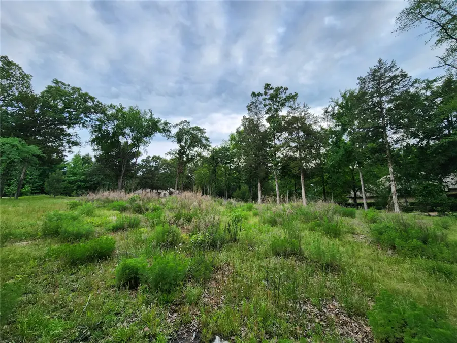 9042 Safari Bluff, Larue, TX 75770 - Image #2