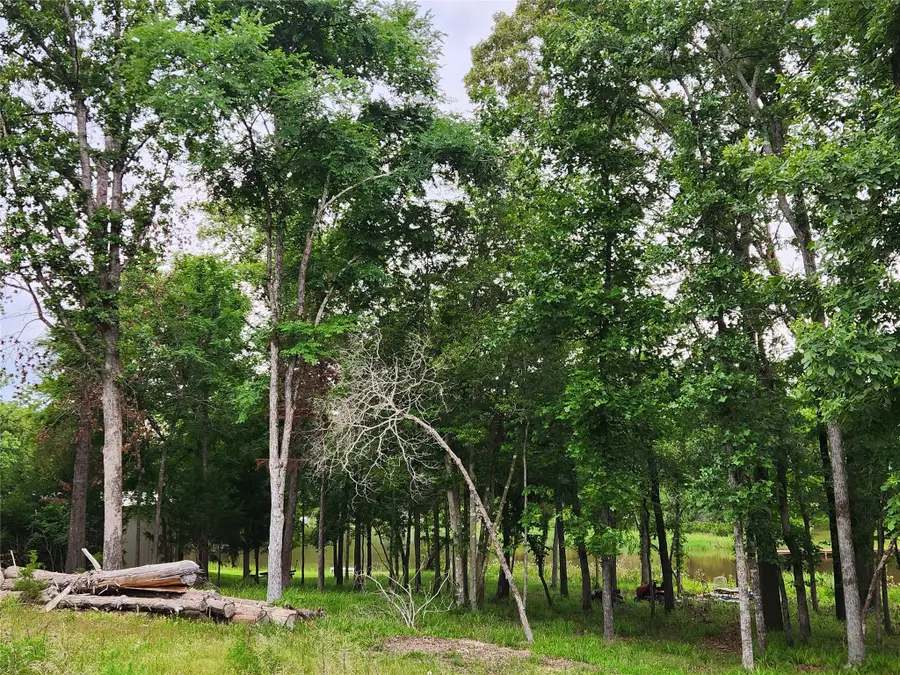 9042 Safari Bluff, Larue, TX 75770 - Image #3