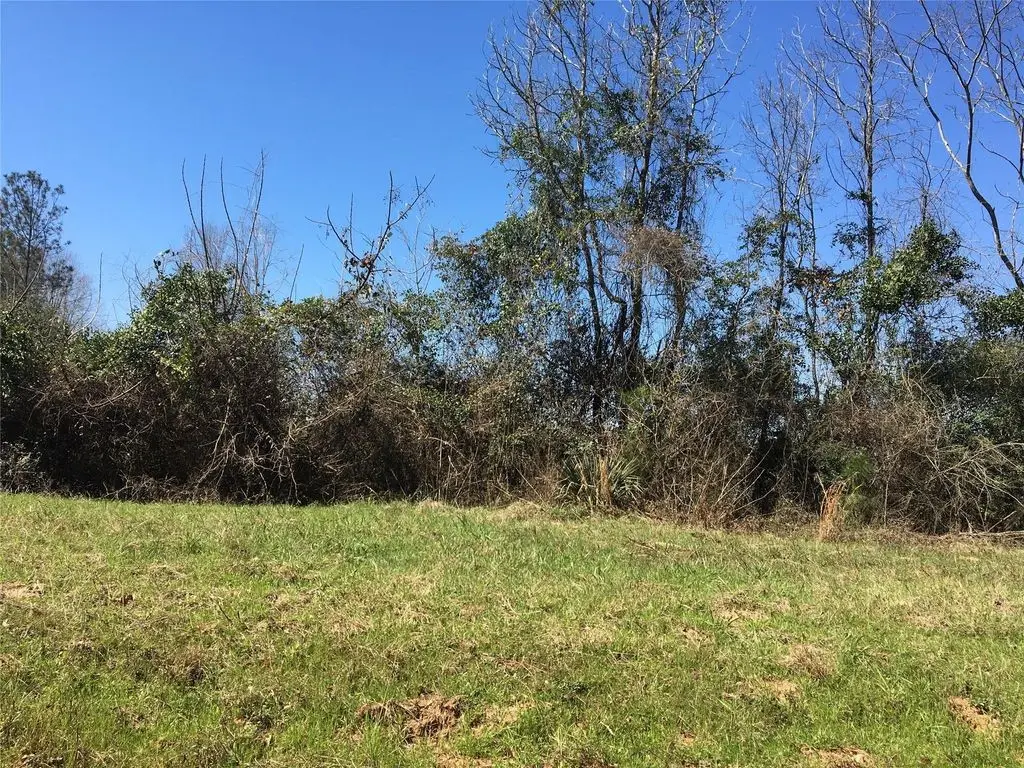Lot 11 County Road 175, Nacogdoches, TX 75946 - #1