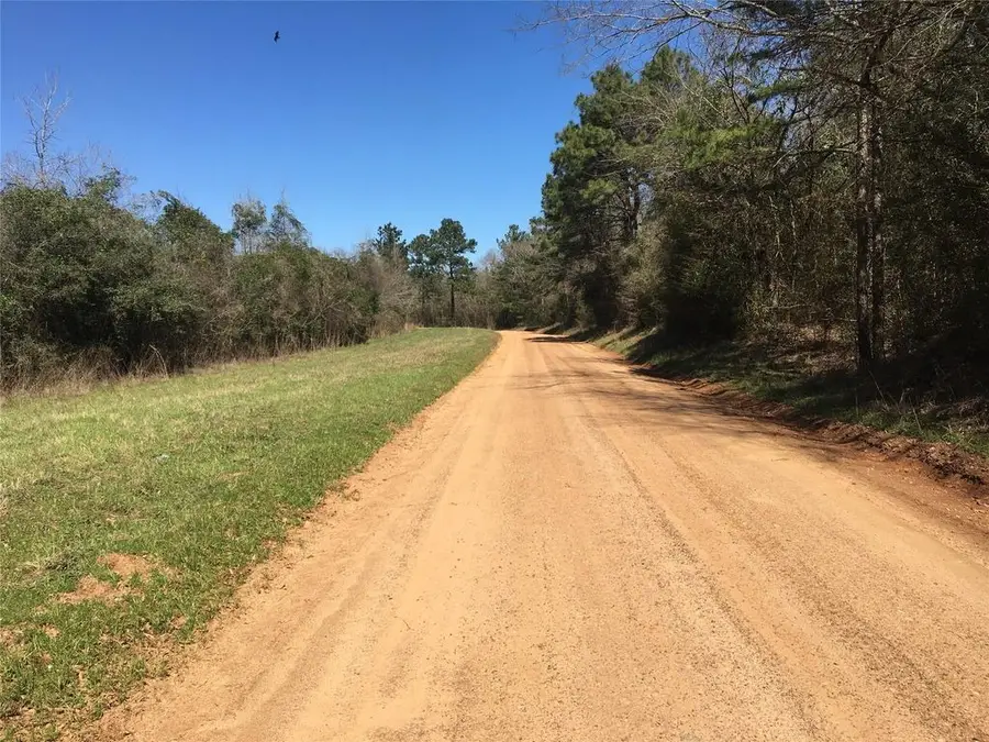 Lot 11 County Road 175, Nacogdoches, TX 75946 - #2