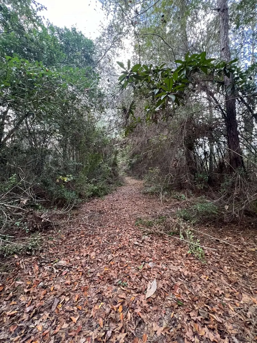 15121 N Highway 87, Kirbyville, TX 75956 - Image #2