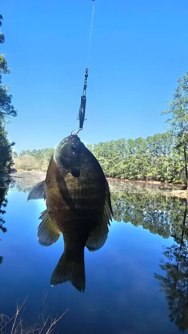 30569 Lake Rd, Waller, TX 77484 - #3