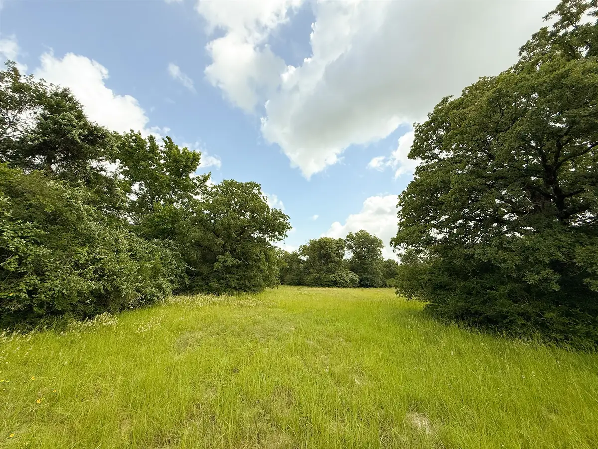 2689 County Road 261, Oakwood, TX 75855 - #1