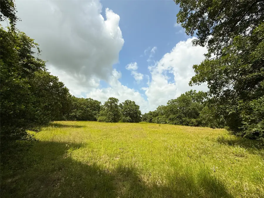 2689 County Road 261, Oakwood, TX 75855 - #3