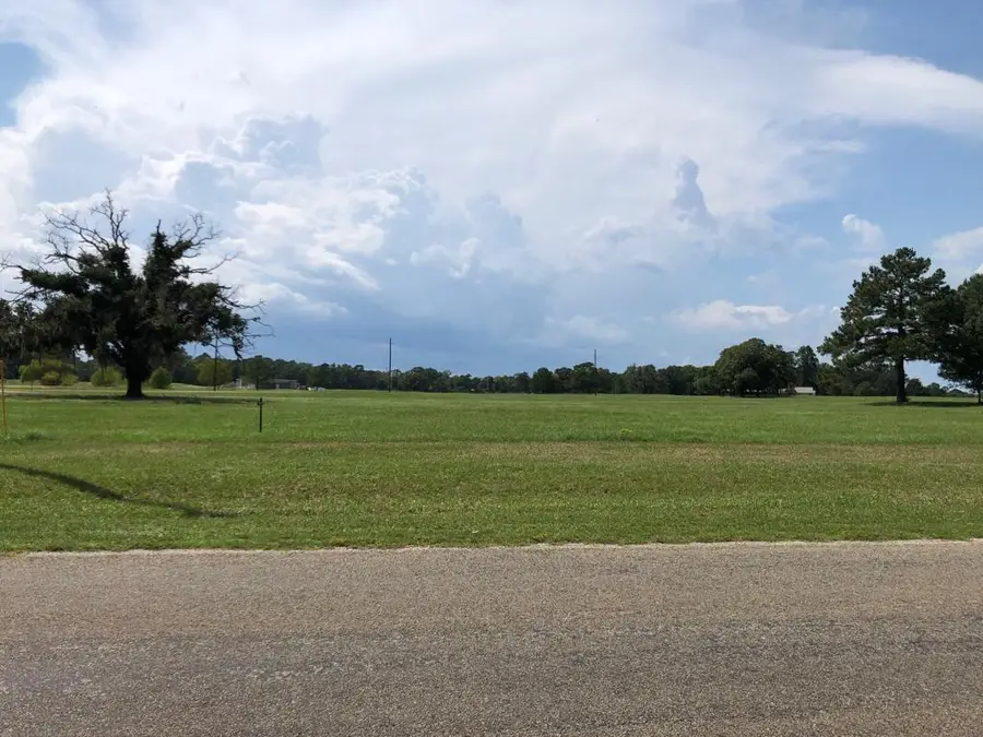 Lot 3 Tara Drive, Trinity, TX 75862 - #2