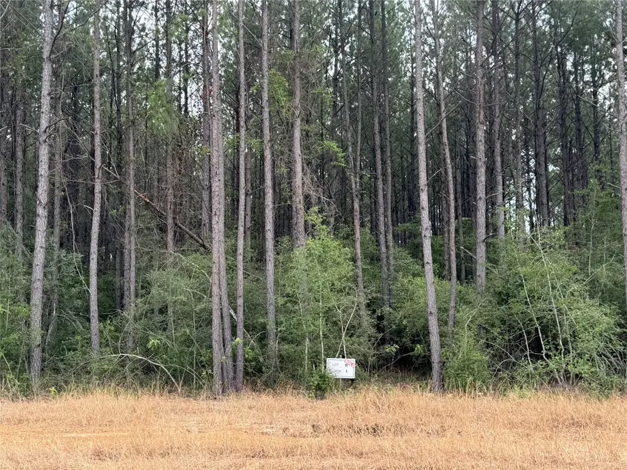 10634 Forest Mill Road, Willis, TX 77378 - #2