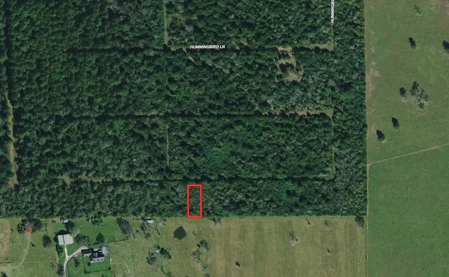 Lot 16 Mocking Bird, Hempstead, TX 77445 - #3