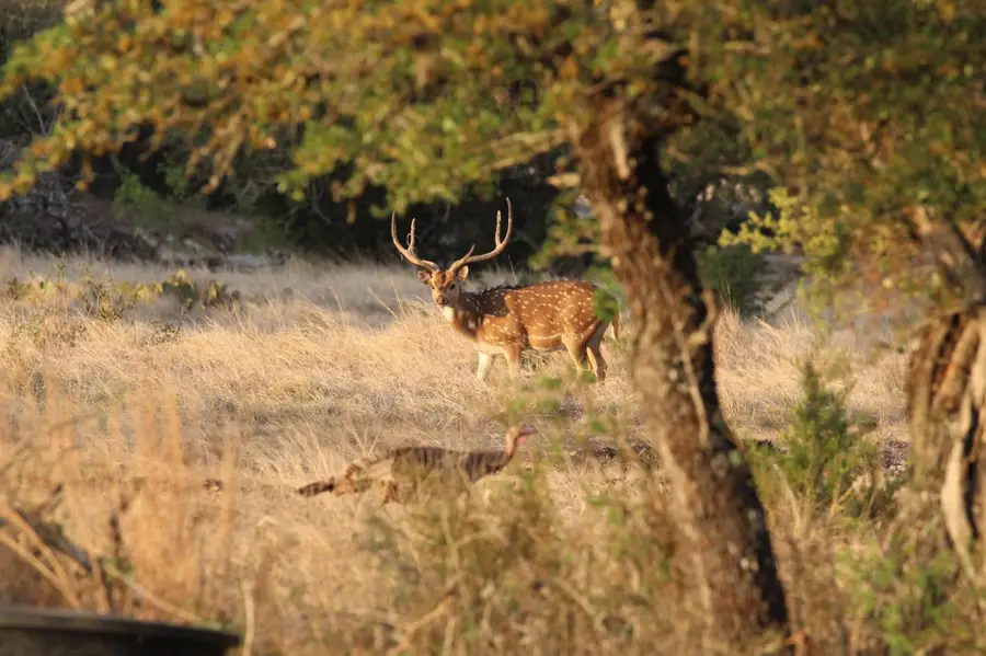 41 Tx Hwy 41, Rocksprings, TX 78880 - #2