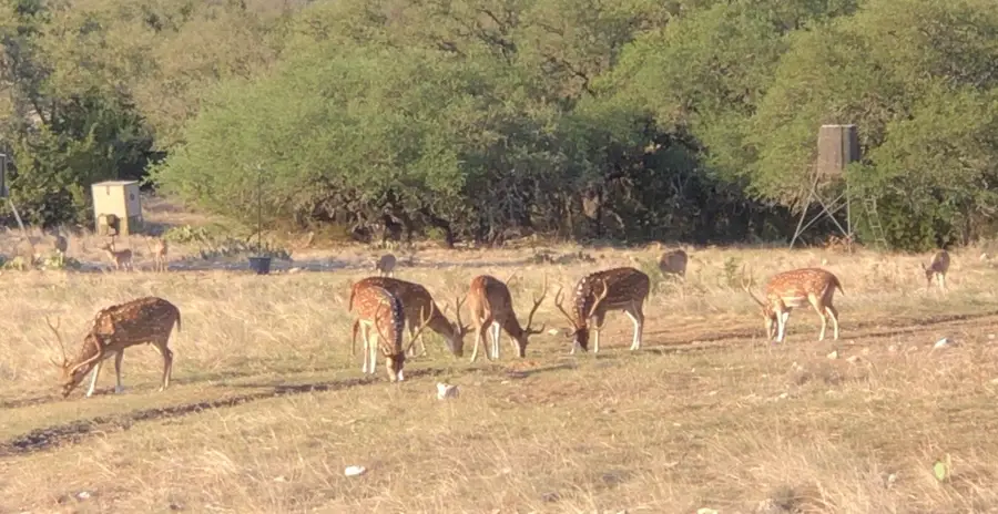 41 Tx Hwy 41, Rocksprings, TX 78880 - #3