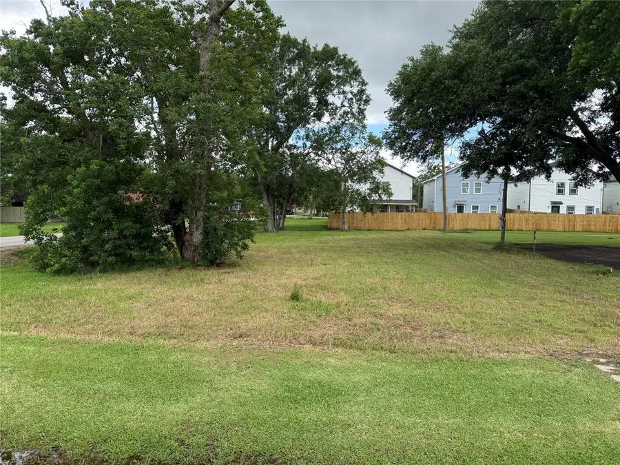 407 N 3rd Street, Beasley, TX 77417 - #2