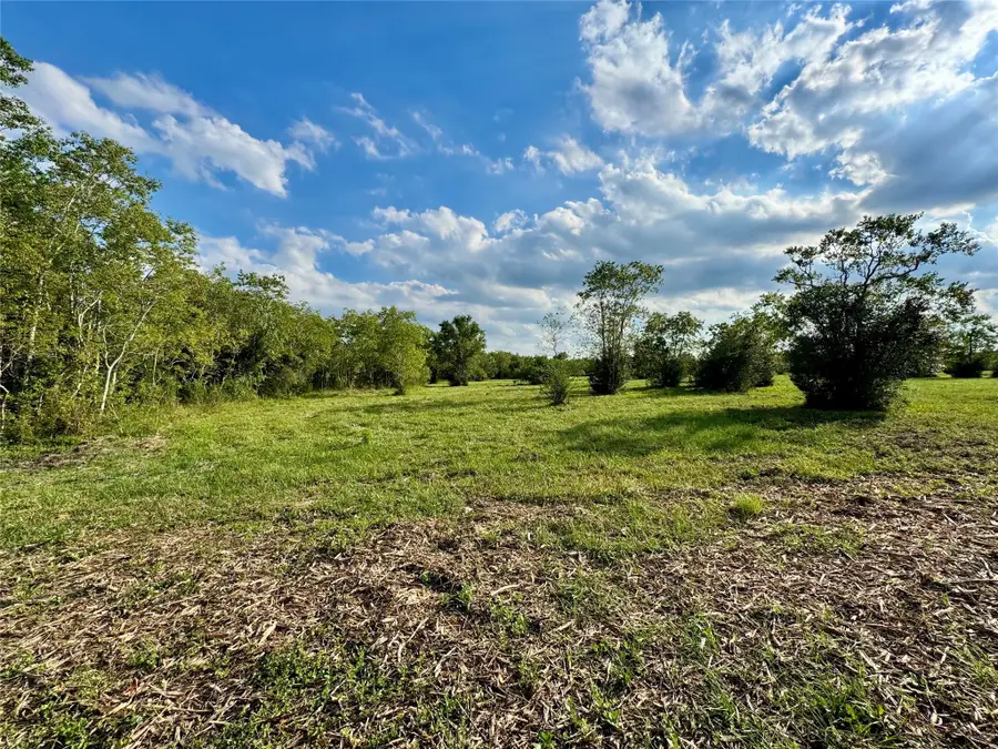0 7th St - Lot 10, Santa Fe, TX 77510 - Image #3