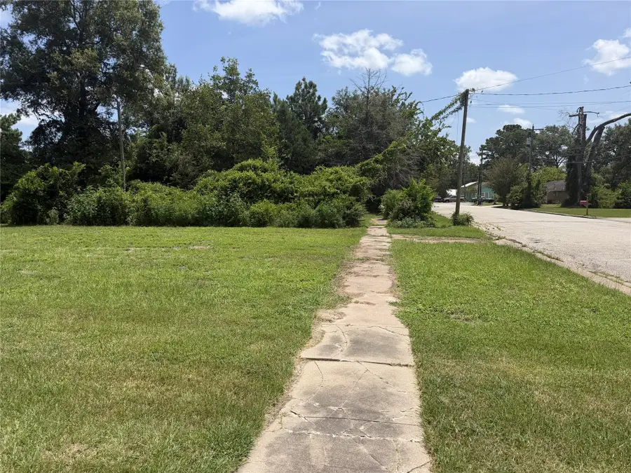 115 E North Street, Livingston, TX 77351 - #3
