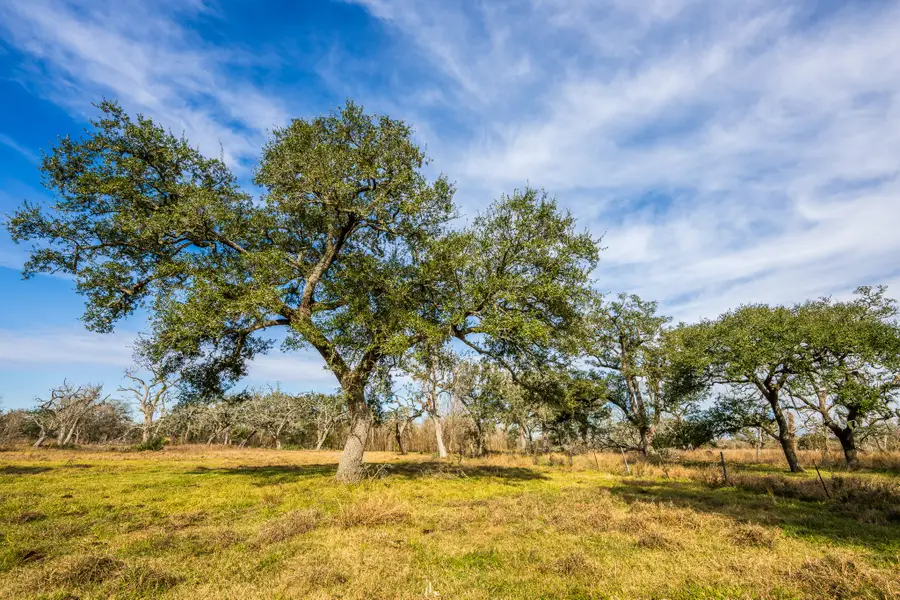 19329 County Road 319, Brazoria, TX 77422 - Image #2