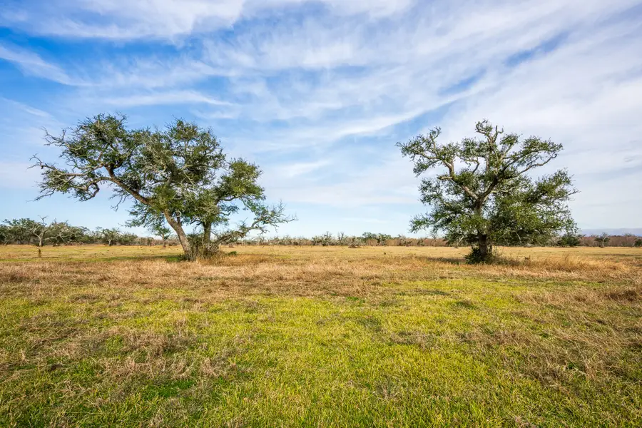 19329 County Road 319, Brazoria, TX 77422 - Image #3