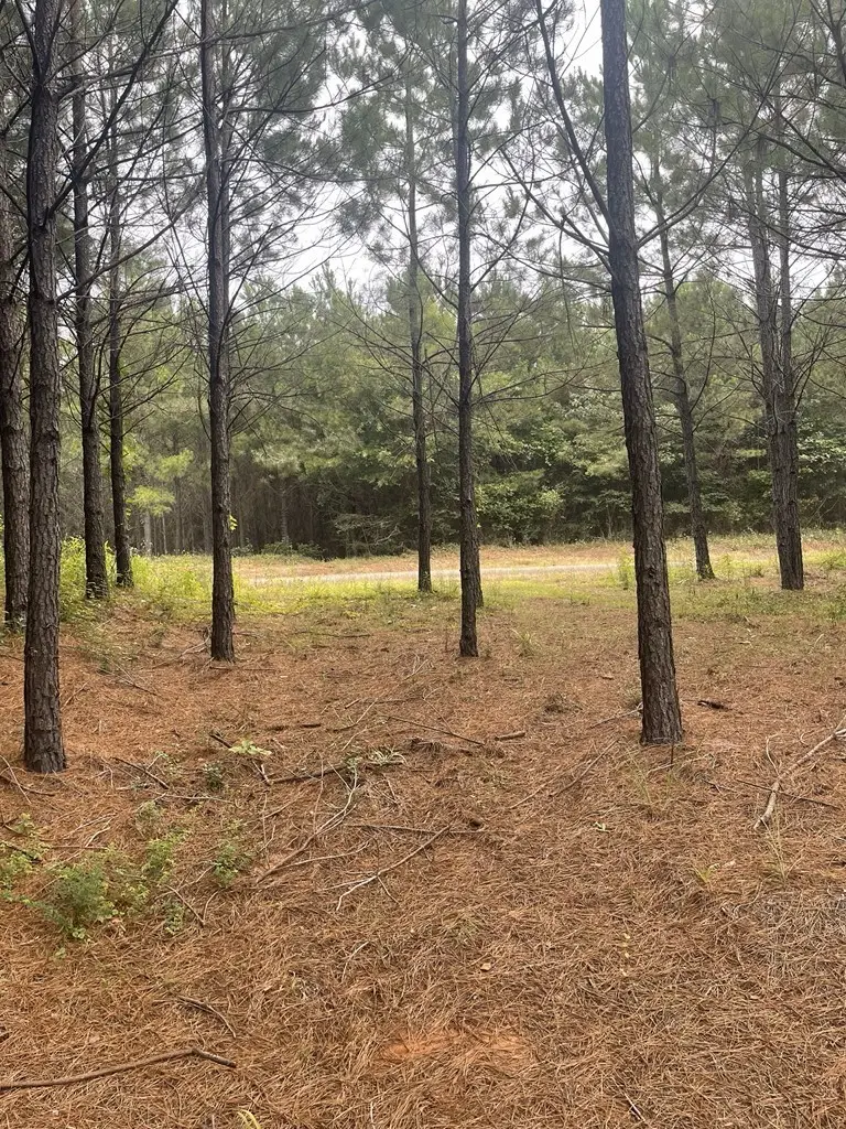 TBD Cr 1090, Center, TX 75935 - Image #1