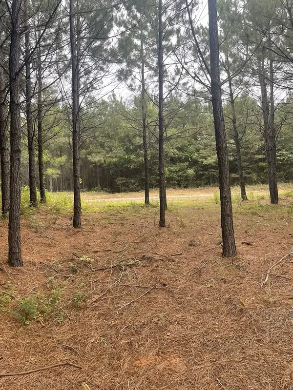 TBD Cr 1090, Center, TX 75935