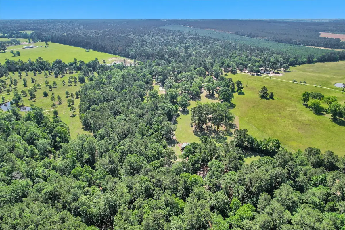 1356 Pegoda Ranch Road, Apple Springs, TX 75865 - Image #1
